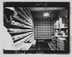 Shelves of cheese at Sonoma Cheese Factory, Sonoma, California, 1978