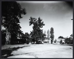1100 block of McDonald Avenue, Santa Rosa, California, 1979