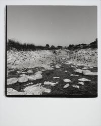 Washoe Creek at Gravenstein Highway looking north, Rohnert Park, California, 1975