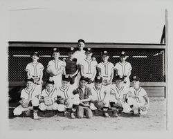 Rincon Valley Little League team, Santa Rosa, California, 1962