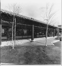 Shops at Stony Point Shopping Center, Santa Rosa , California, 1982