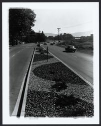 Looking east on Highway 12 toward Brush Creek Road, Santa Rosa, California, 1963