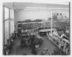 Interior of Golden West Store, Santa Rosa, California, 1960