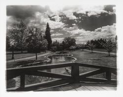 Creek through Juilliard Park, Santa Rosa, California, 1967