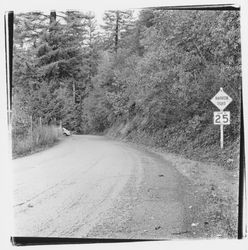 Armstrong Woods Road, Guerneville, California, 1970