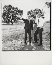 Three men looking at plans for the Tanglewood subdivision, Santa Rosa, California, 1971