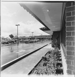 Shops at Stony Point Shopping Center, Santa Rosa , California, 1982