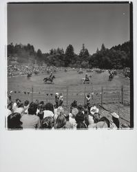 Guerneville rodeo, Guerneville, California, 1978