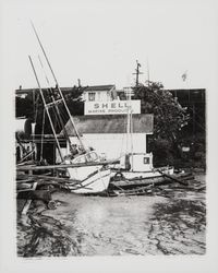 Boats washed ashore by the Shell Marine Products shop by a winter storm, Bodega Bay, California, January 1959