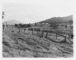 Outbuildings and fields on Community Health Association property at 2759 Bennett Valley Road, Santa Rosa, California, 1963