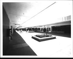 Shops at Coddingtown Mall — Calisphere