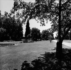 Juilliard Park in Santa Rosa, California, 1970