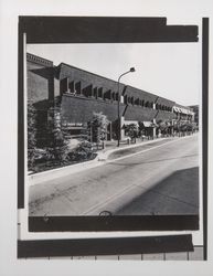 500 block of Fourth Street, Santa Rosa , California, 1982