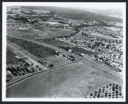 Aerial view of Coddingtown, Guerneville Road, Steele Lane, Highway 101 area, Santa Rosa, California, 1962