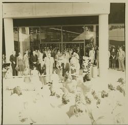 Tigger, Eeyore and Winnie the Pooh at Sears ribbon cutting for new Santa Rosa Plaza store, Santa Rosa, California, 1980