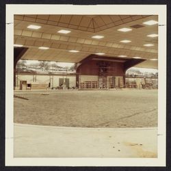 Finishing the interior of the Ice Arena