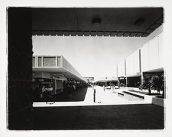 Coddingtown Shopping Mall, Santa Rosa , California, 1967