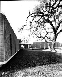 Exterior of the Administration Building at the Junior College, Santa Rosa, California, 1964