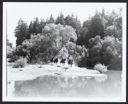 Equestrians at the Russian River, Guerneville, California, 1970