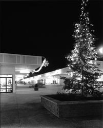 Exterior views of Coddingtown Shopping Center at Christmas, Santa Rosa, California, March 18, 1962