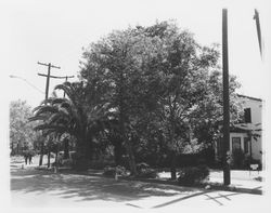 Home at 821 Mendocino Ave, Santa Rosa, California, 1964