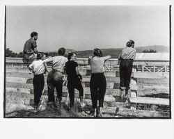 G.K. Hardt employee picnic, Santa Rosa, California, 1958