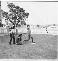 N C I Grungies baseball team, Santa Rosa, California, 1975