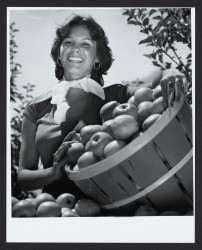 Gravenstein Apple Fair queen Julie Pimental, Sebastopol, California, 1977