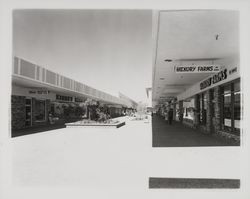 Coddingtown Shopping Mall, Santa Rosa , California, 1967