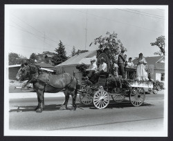 Local 890 Teamsters Union float in Apple Blossom Parade, Sebastopol, California, 1959