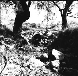 Unidentified culvert in east Santa Rosa