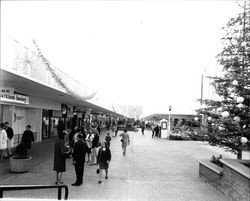 Exterior views of Coddingtown Shopping Center at Christmas, Santa Rosa, California, March 18, 1962