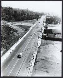 Summerfield Road at Howarth Park, Santa Rosa , California, 1964