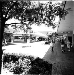 Exterior scenes at Coddingtown Shopping Center, Santa Rosa, California, May 26, 1971