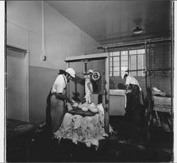 Cheese making at the Sonoma Cheese Factory, Sonoma, California, 1972