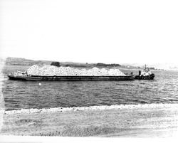 Building a breakwater at Bodega Bay