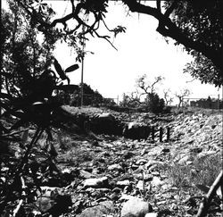 Unidentified culvert in east Santa Rosa