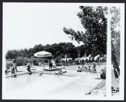 Riders at the Palomino Lakes swimming pool, Cloverdale, California, 1962