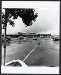 Shops at Stony Point Shopping Center, Santa Rosa , California, 1982