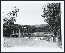 Palomino Lakes, Cloverdale, California, 1963