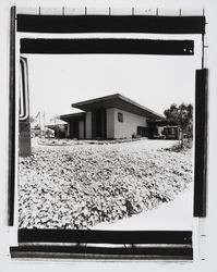 Coddingtown branch of the Bank of America, Santa Rosa, California, 1982