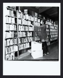 Vicki Boy shelving books at Occidental Library, Occidental, California, 1972