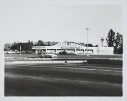 Purity Stores, Santa Rosa, California, 1963