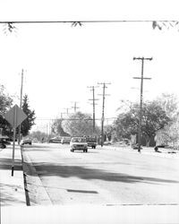 Unidentified Santa Rosa street, Santa Rosa, California, November 12, 1971