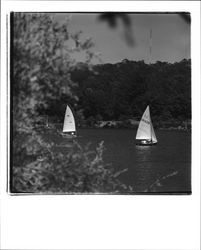 Sailboats on Lake Ralphine, Santa Rosa, California, 1970