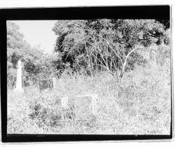 Headstone of Aden Congleton and nearby graves at Rural Cemetery, Santa Rosa, California, 1970