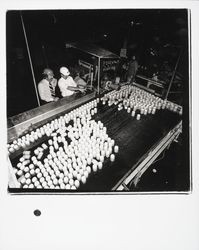 Applesauce bottling line at the Sebastopol Cooperative Cannery, Sebastopol, California, 1978