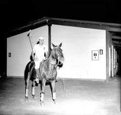 Santa Rosa polo players