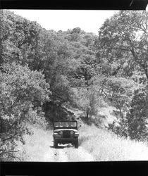 Alan Milner driving a jeep at Annadel Farms, Santa Rosa, California, June 8, 1971