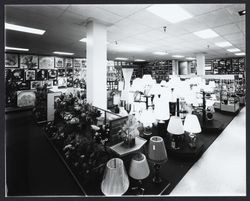 Sears' lamp and home decoration department, Santa Rosa, California, 1980